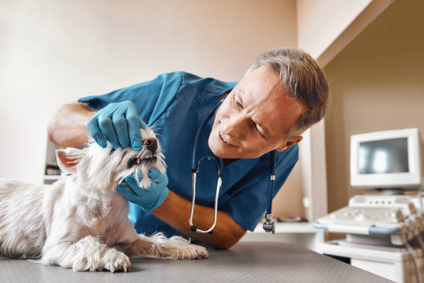 Best Emergency Tooth Extraction in Brookdale, SC